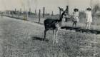 Barb and Bette at the wildlife sanctuary in Deepdene, Victoria